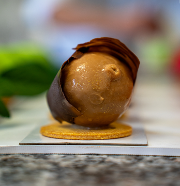 Trompe l'oeil Noisette
